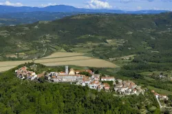 Istrian-olive-oil-Beletić-12